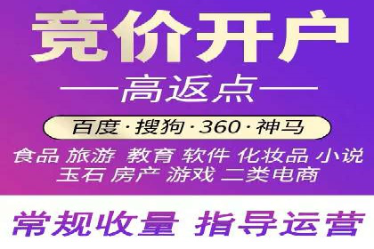 百度推广账户日常管理及优化技巧——以某品牌为例